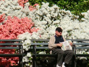 urbanloneliness2010_1